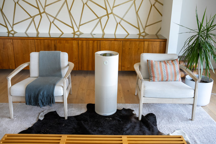 Where's the best place to put JASPR Air Purifier?