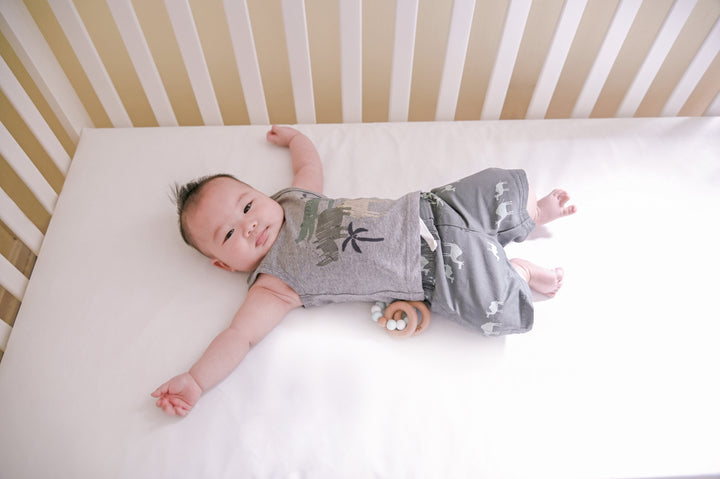 Naturepedic - Lullaby Earth Healthy Support Crib Mattress