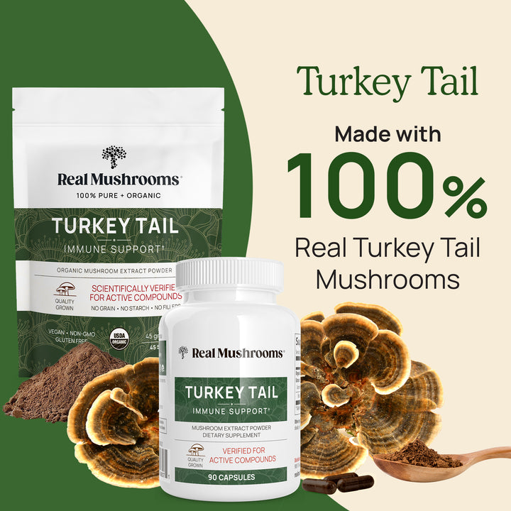 Turkey Tail is made with 100% real turkey tail mushrooms