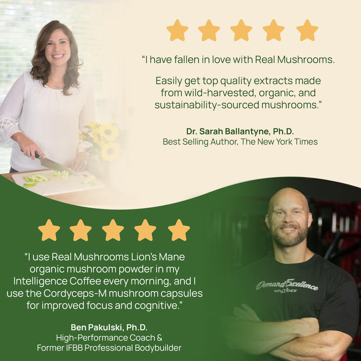 REAL MUSHROOMS Turkey Tail Extract costumer feedback