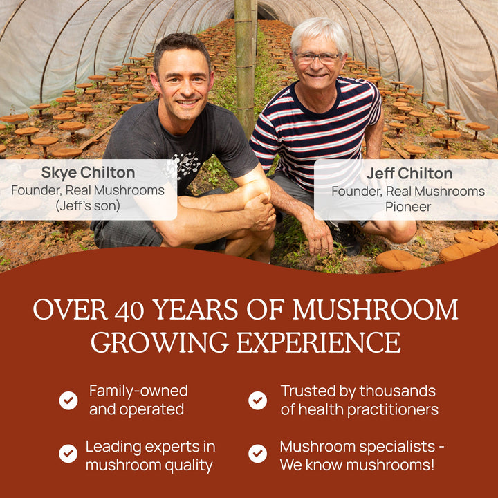 Real Mushrooms History