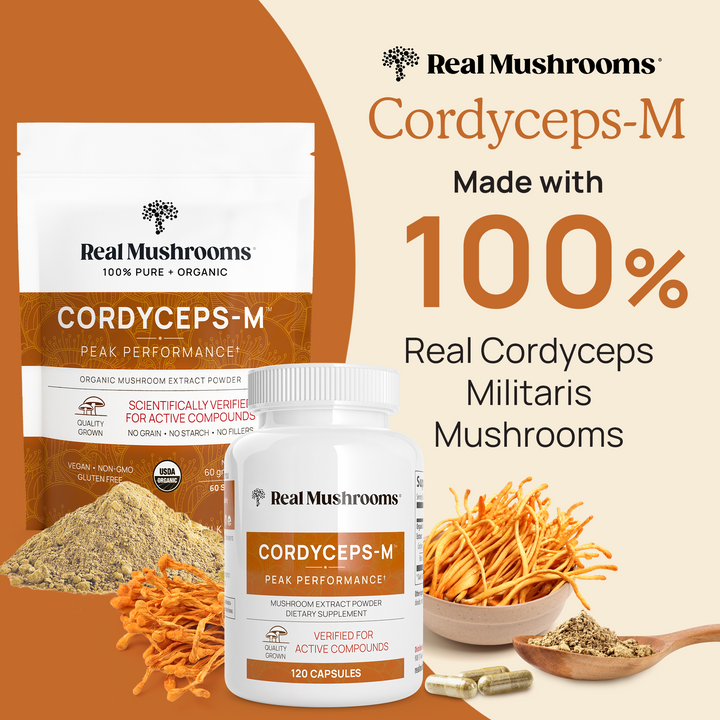 REAL MUSHROOMS is made with 100% real Cordyceps militaris mushrooms