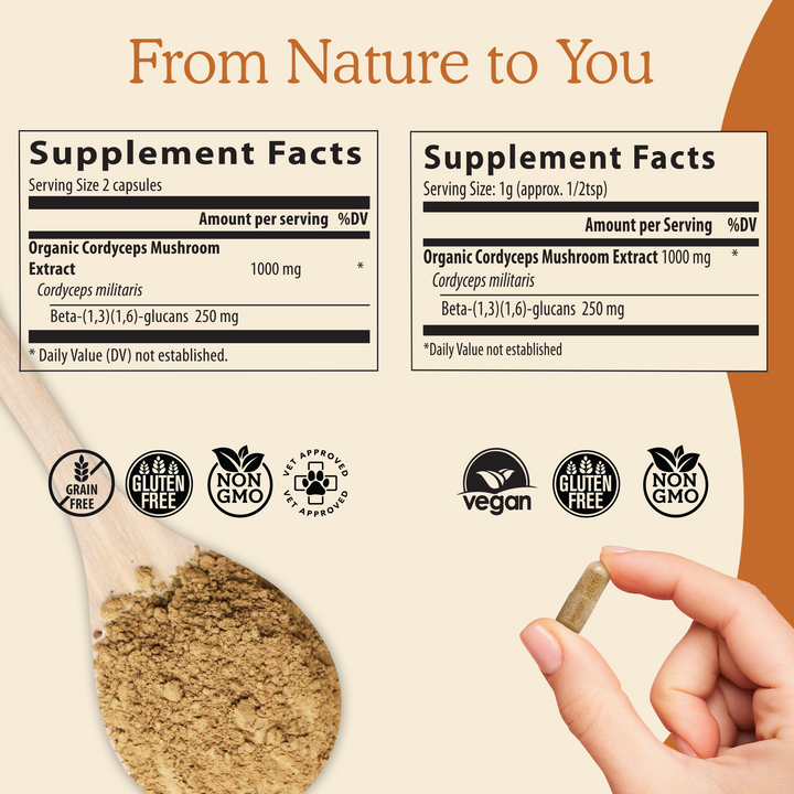 REAL MUSHROOMS Organic Cordyceps Mushroom Extract Powder and Capsules supplement facts 