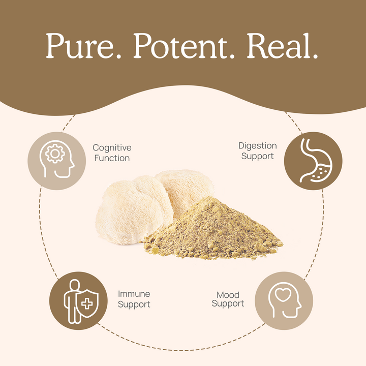 REAL MUSHROOMS Organic Lions Mane Mushroom is for cognitive function and immune support