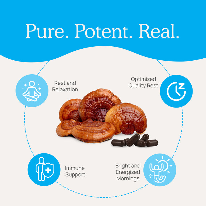 RealRest - Reishi, Valerian and Lemon Balm has many key health benefits like rest and relaxation, optimized quality rest, immune support and bright and energized mornings.