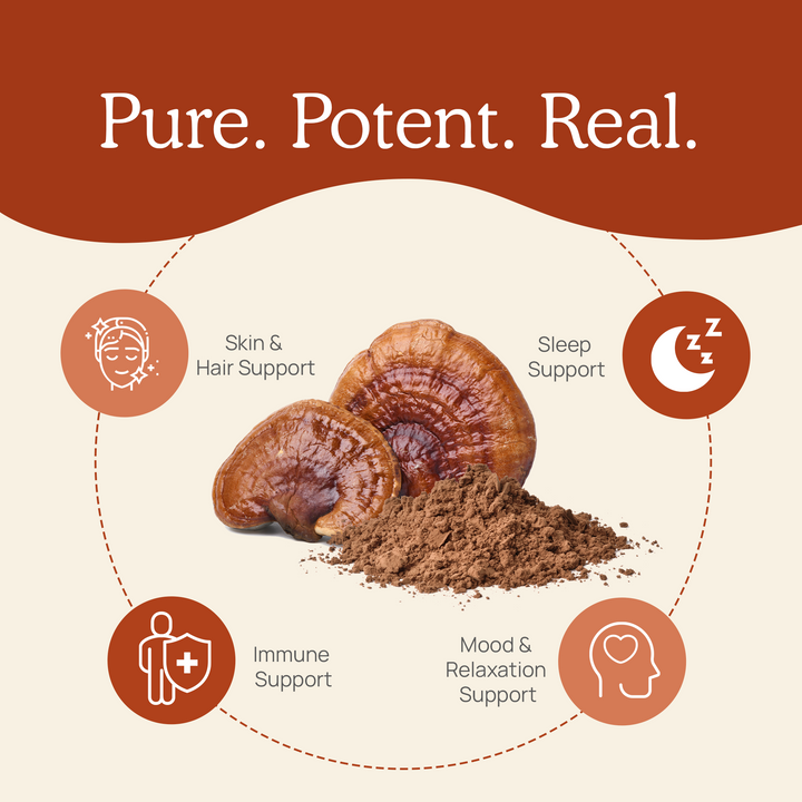 Real Mushrooms Reishi Mushroom Powder Extract Benefits