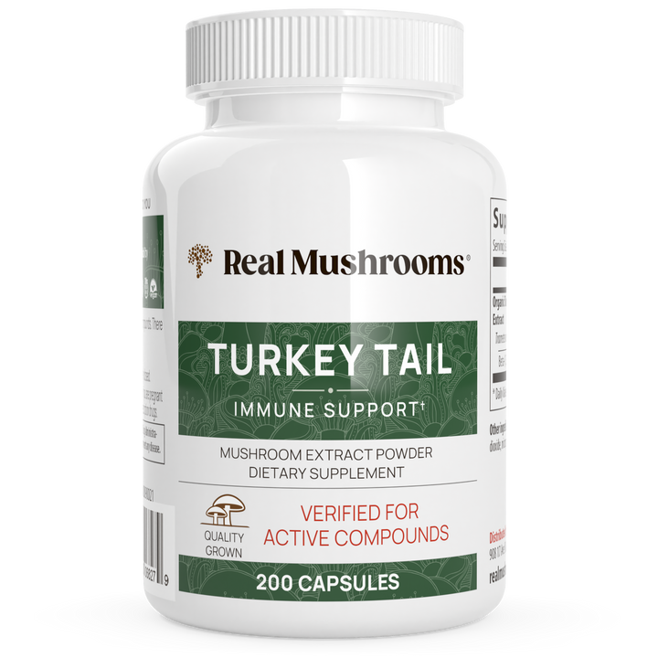 Turkey Tail Mushrooms for Gut and Immune Support