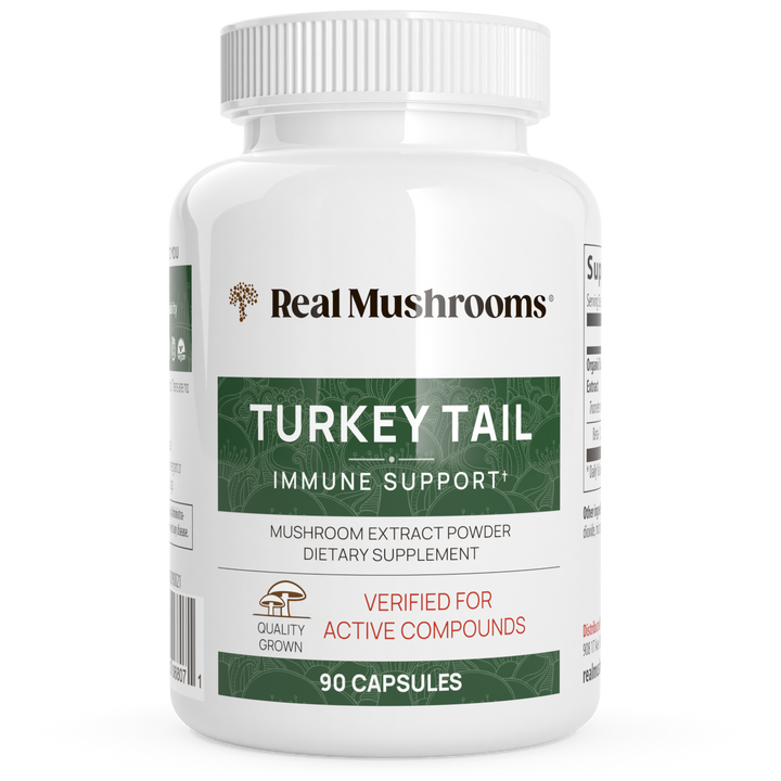 Turkey Tail Mushrooms for Immune Support
