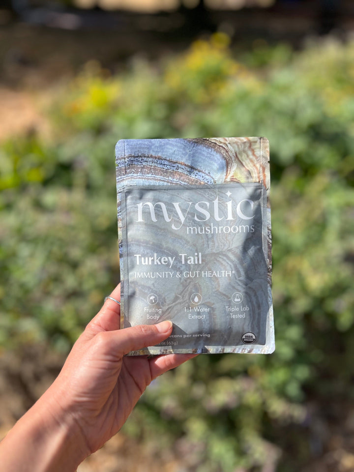 Mystical Mushrooms Turkey Tail Immune System Support