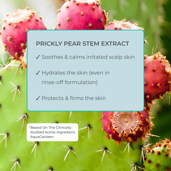 Key benefits of EVOLVh Better Roots Growth Support Shampoo
