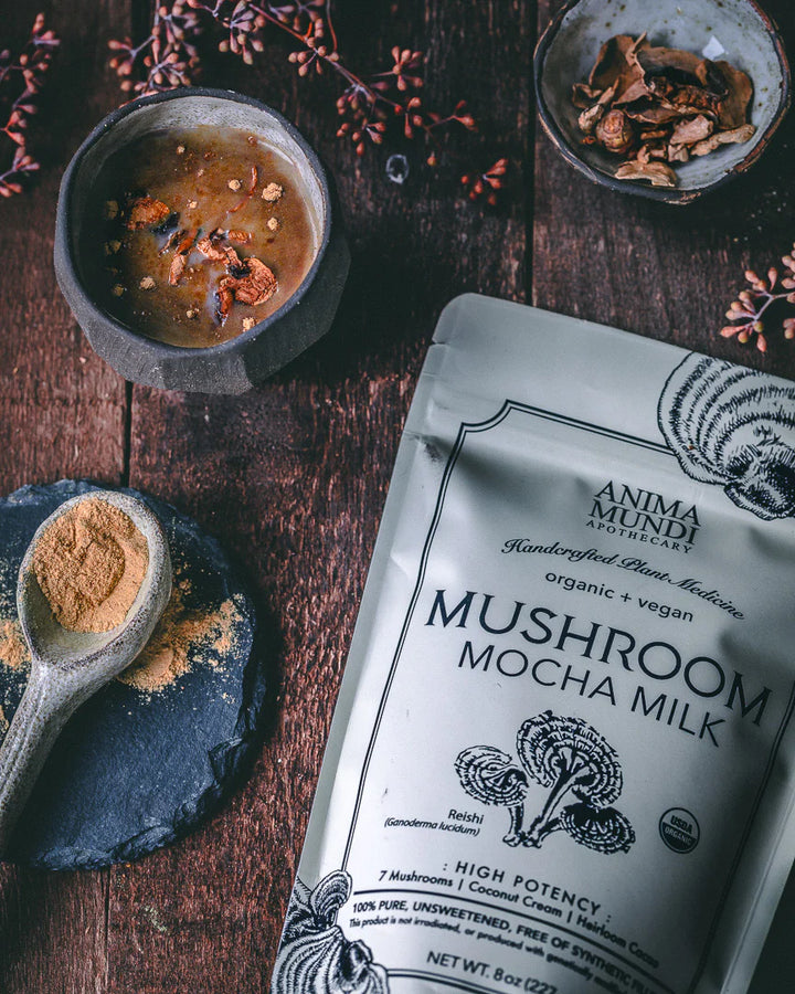 Mushroom Mocha Milk is rich and creamy goodness, a luxurious blend of seven potent mushrooms, coconut cream, and heirloom cacao