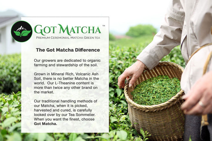 Got Matcha – Matchaga Crunch Energy Bar - Difference