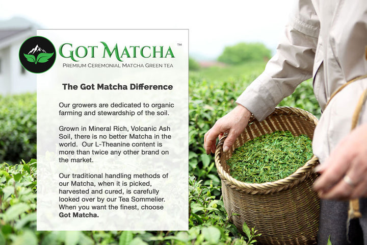 Got Matcha - Flavored Matcha Gift Set