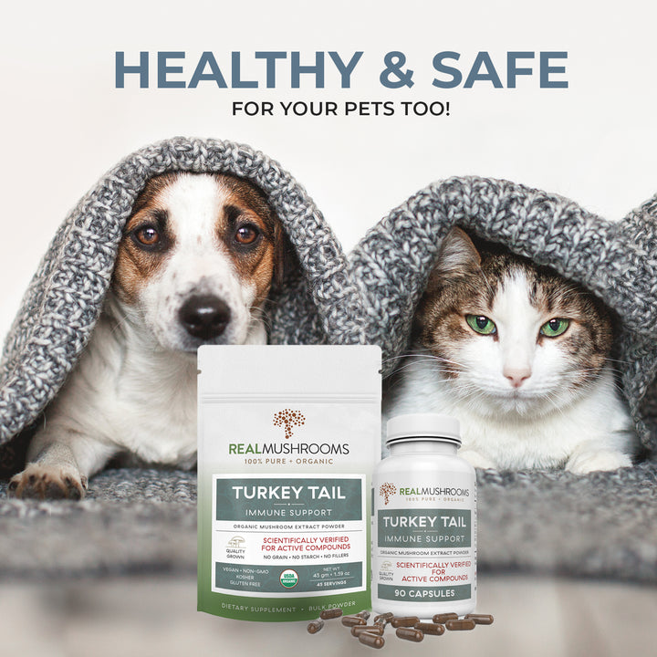 Turkey Tail Extract is Healthy and Safe for your pets too