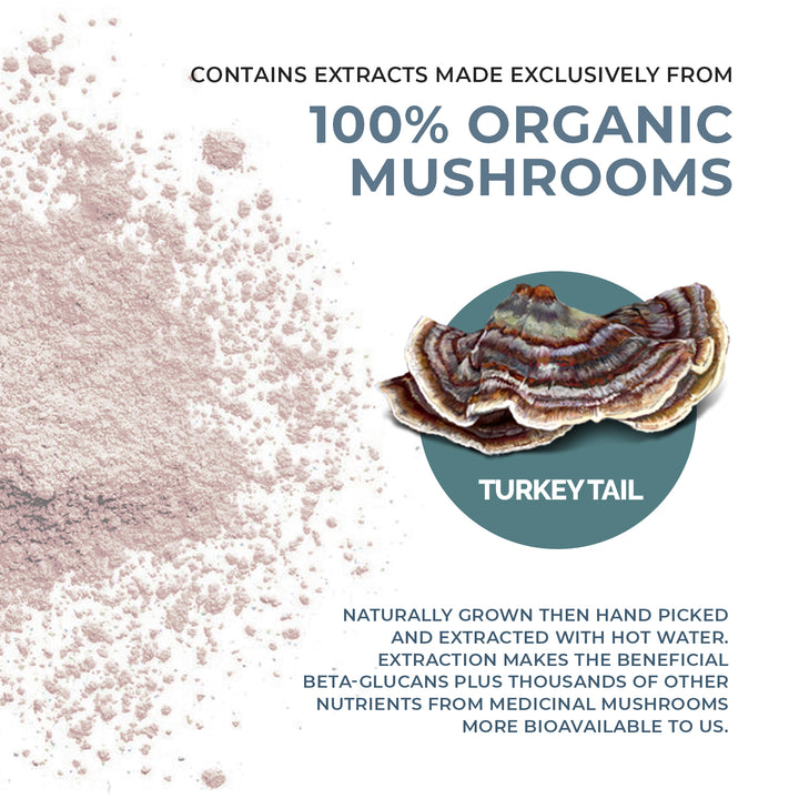 Turkey Tail Extract is 100% organic mushrooms.