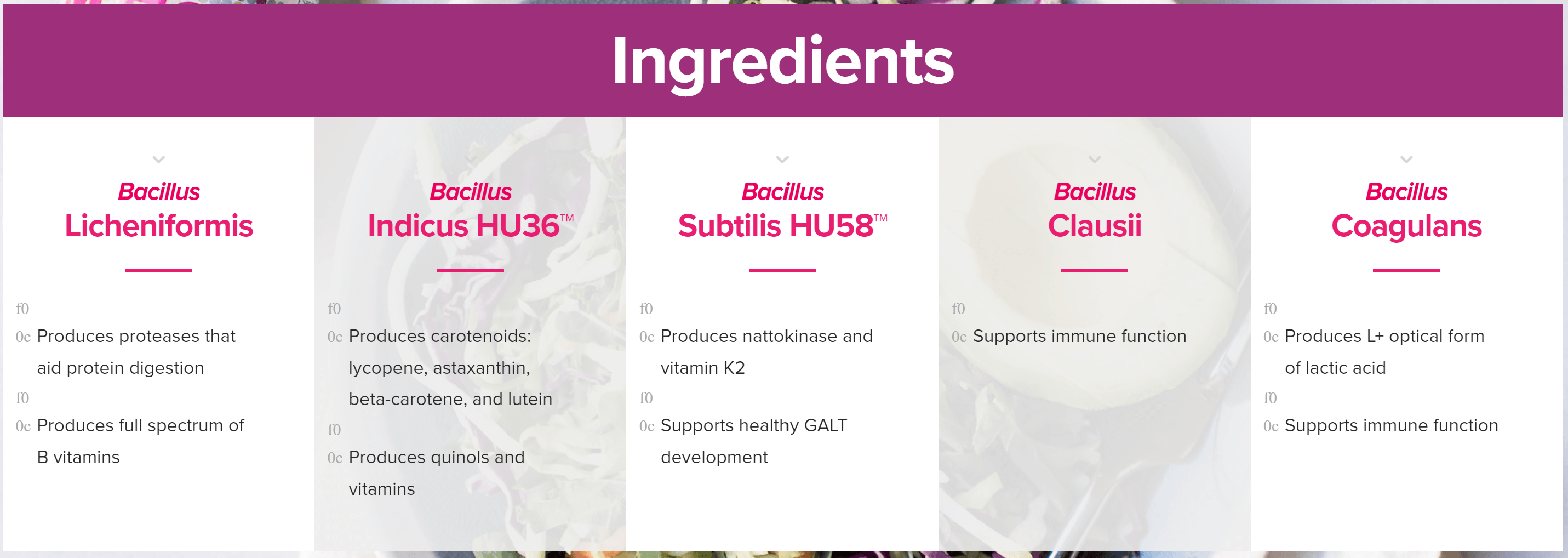 Megaspore Gut Reset Bundle – The Swell Score