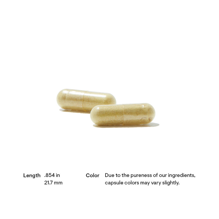 Thorne Pancreatic Enzymes Capsule Color